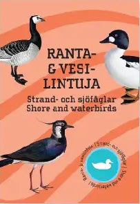 Pelikortit ranta  ja vesilintuja